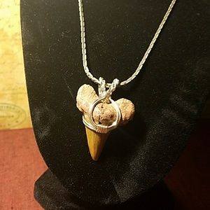 Beautiful Genuine Fossil Shark Tooth Pendant